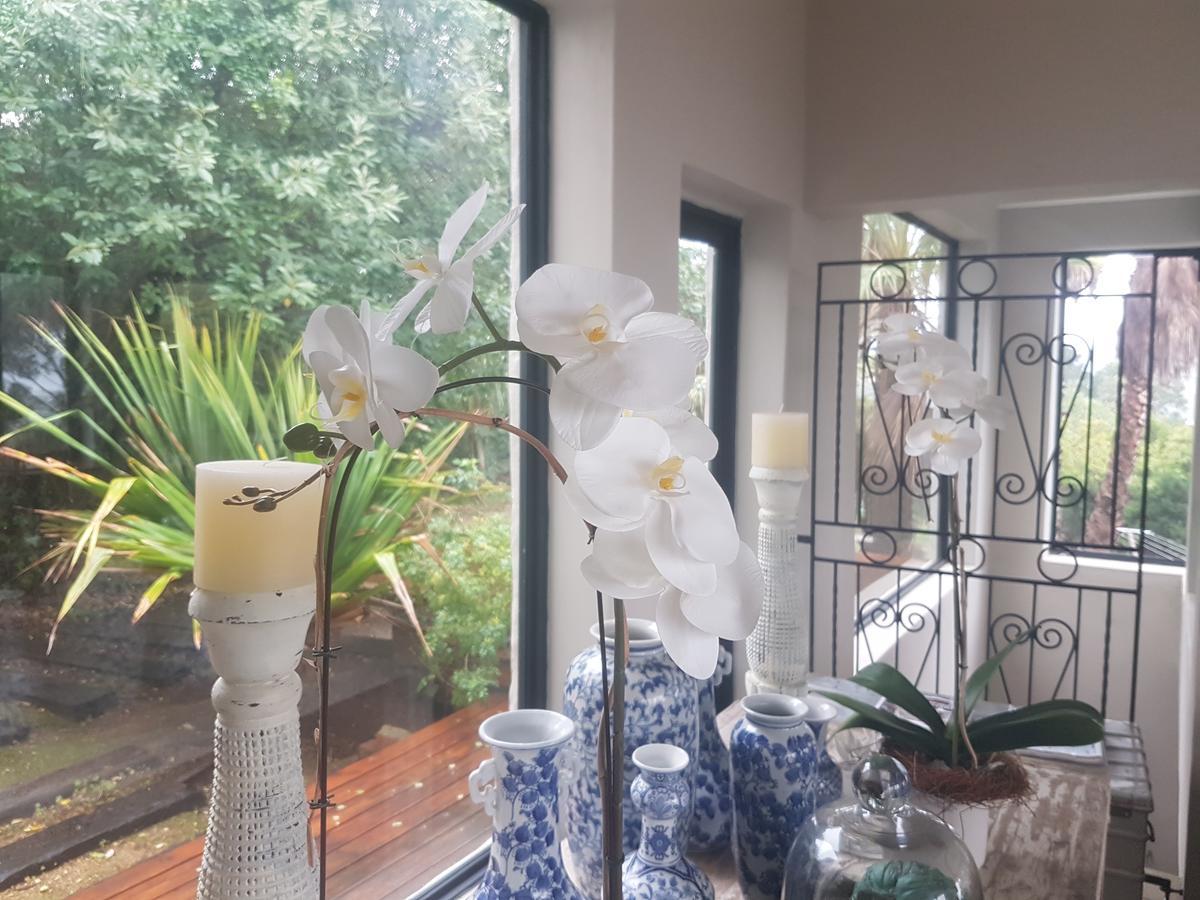 Victorskloof Lodge Houtbaai Buitenkant foto